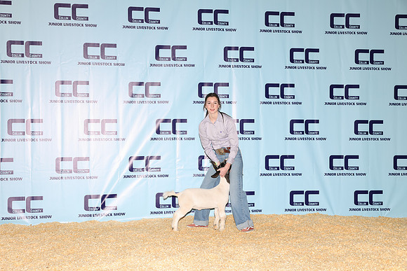 NH- CCJLS-3365