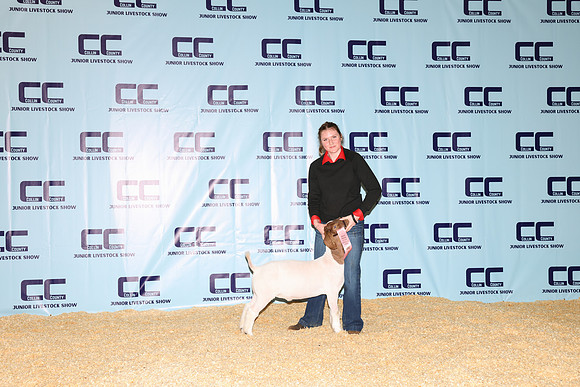 NH- CCJLS-3402