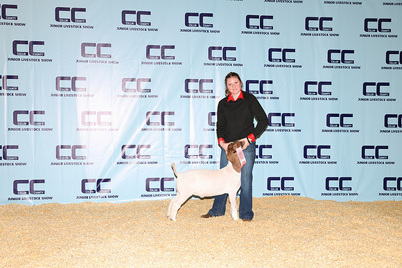 NH- CCJLS-3403