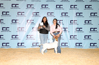 NH- CCJLS-3328