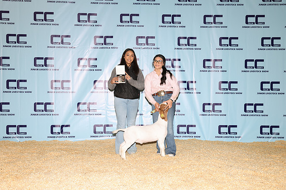 NH- CCJLS-3328