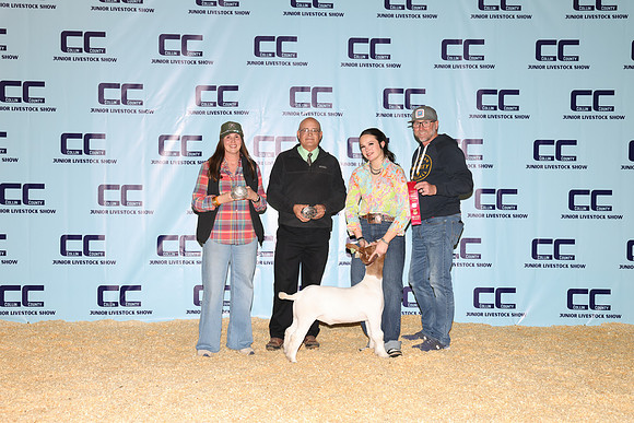 NH- CCJLS-3488