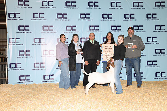 NH- CCJLS-3463