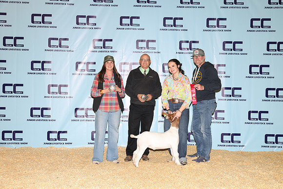 NH- CCJLS-3489