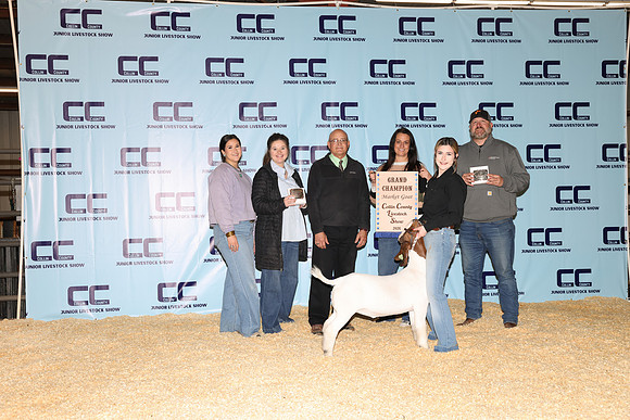 NH- CCJLS-3461