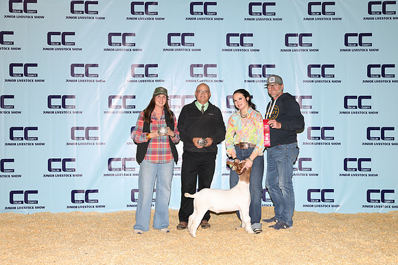 NH- CCJLS-3487