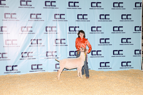 NH- CCJLS-3444