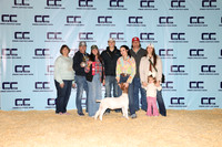 NH- CCJLS-3336