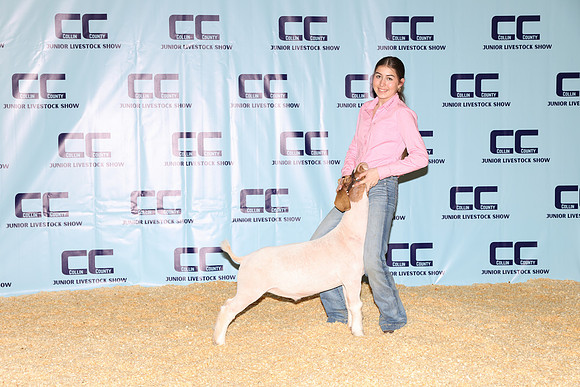 NH- CCJLS-3451