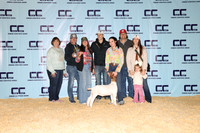 NH- CCJLS-3335