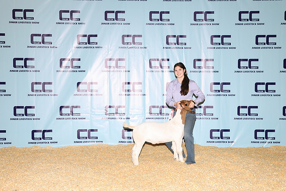 NH- CCJLS-3447