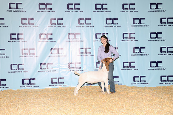 NH- CCJLS-3446