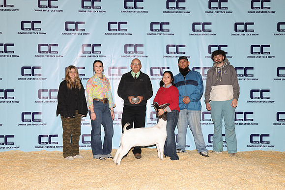 NH- CCJLS-3324