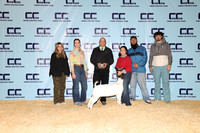 NH- CCJLS-3325