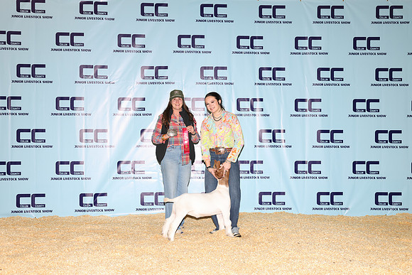 NH- CCJLS-3331