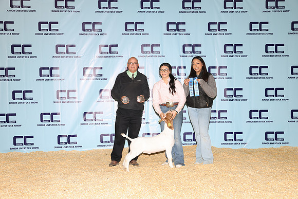 NH- CCJLS-3494