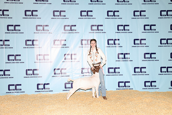 NH- CCJLS-3441