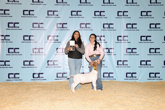 NH- CCJLS-3327