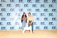 NH- CCJLS-3332