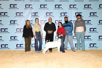 NH- CCJLS-3326