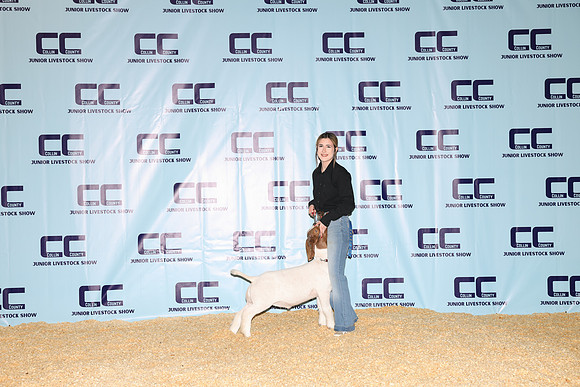 NH- CCJLS-3382
