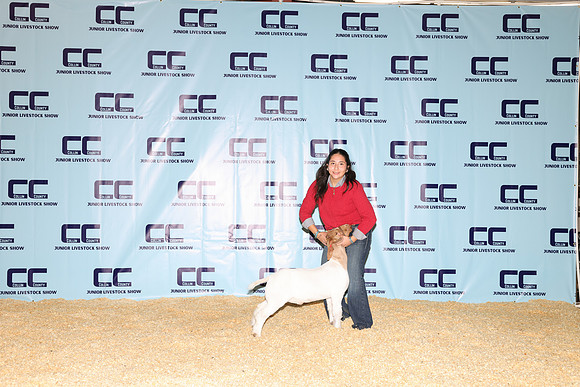NH- CCJLS-3341