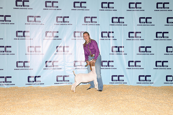 NH- CCJLS-3369