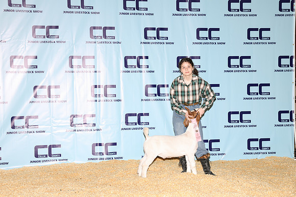 NH- CCJLS-3397