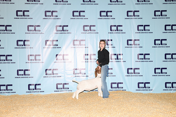 NH- CCJLS-3383