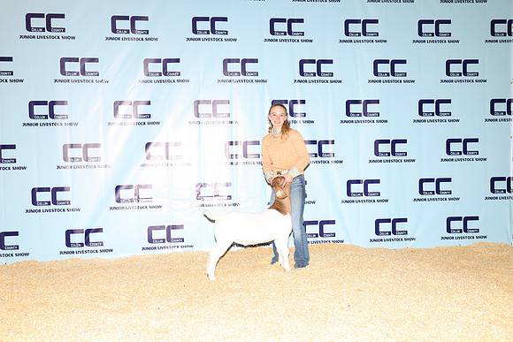 NH- CCJLS-3380