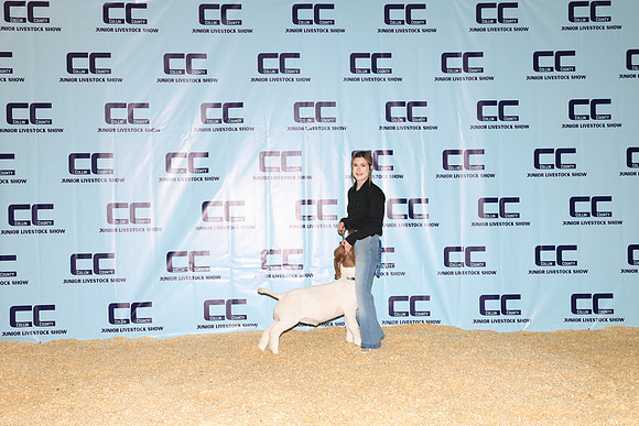 NH- CCJLS-3384