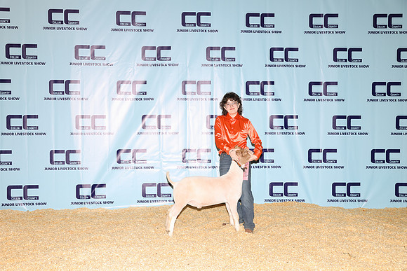 NH- CCJLS-3408