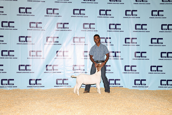NH- CCJLS-3385