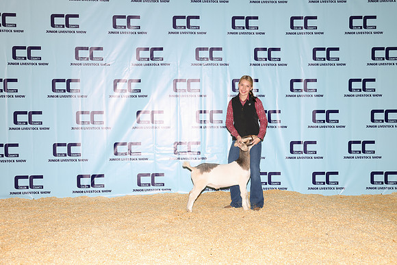 NH- CCJLS-3391