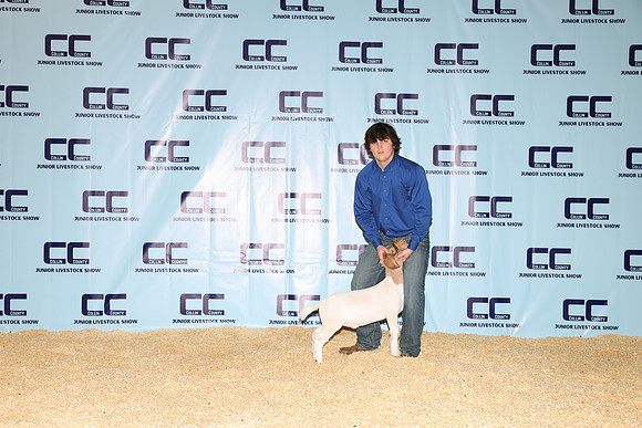 NH- CCJLS-3345