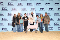 NH- CCJLS-3504