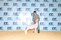 NH- CCJLS-3513