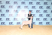 NH- CCJLS-3516