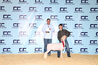NH- CCJLS-3509
