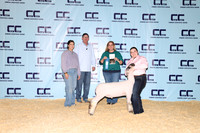 NH- CCJLS-3520
