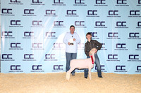 NH- CCJLS-3508