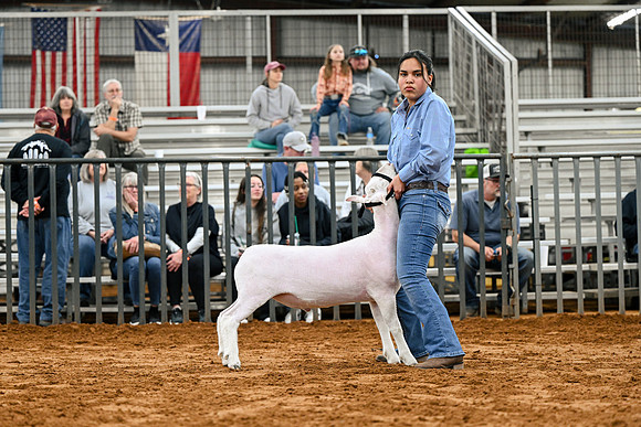 TL26-CCJLS-5434