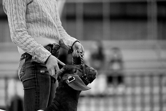 DSC_4940BRM