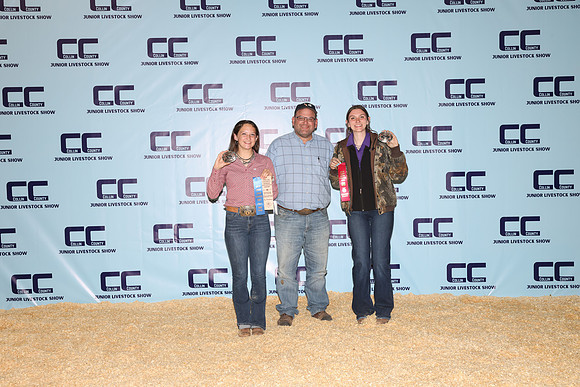 NH- CCJLS-3801
