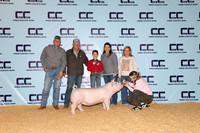 NH- CCJLS-3847