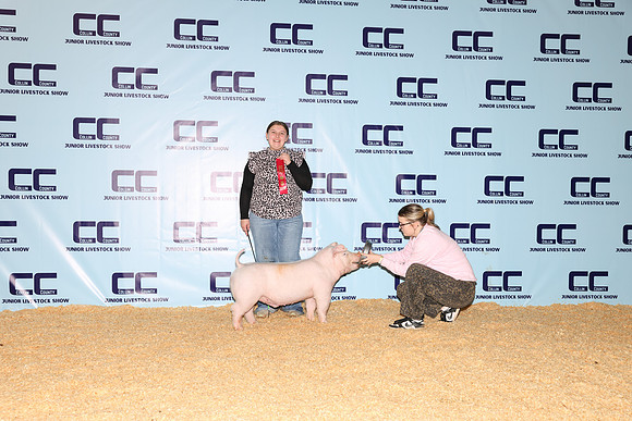 NH- CCJLS-3862