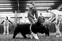 BRM26-CCJLS-6695