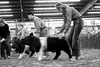 BRM26-CCJLS-6762