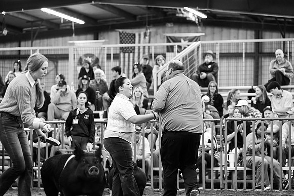 BRM26-CCJLS-7017