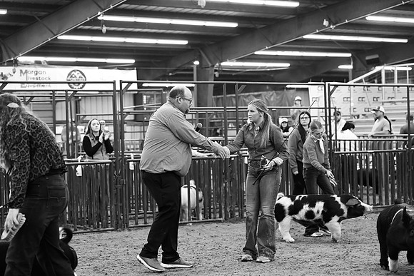 BRM26-CCJLS-7949